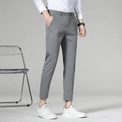 Plaid Stripe Ankle Length Men Business Long Length Pant