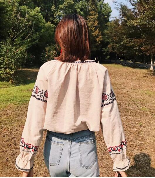 Bohemian Lacing up tassel V neck Flower Embroidery Shirt Long Sleeve