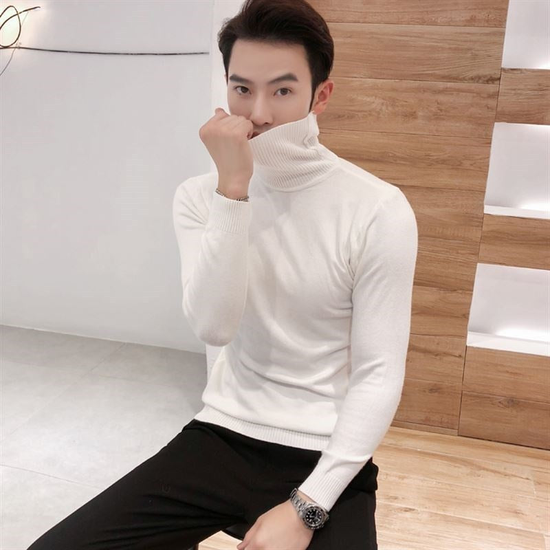 Men Turtleneck Sweaters Knitted Pullovers Casual Sweater Knitwear