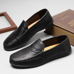 Men Shoes Casual Loafers Breathable Slip on Men Driving Shoes